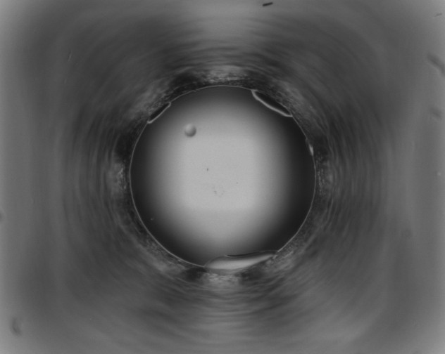 X0000097590327200802291225