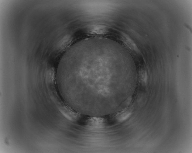 X0000097590328200802291225