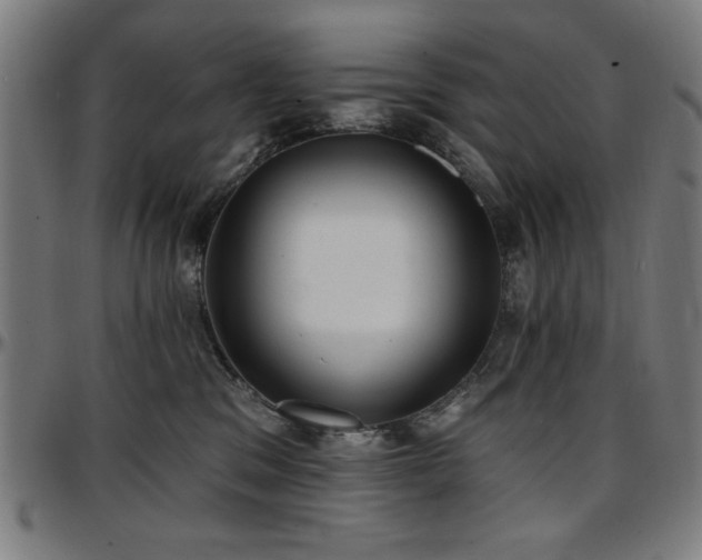 X0000097590329200802291225