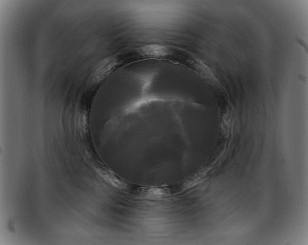 X0000097590330200802291225