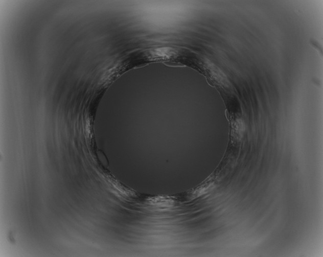 X0000097590331200802291225