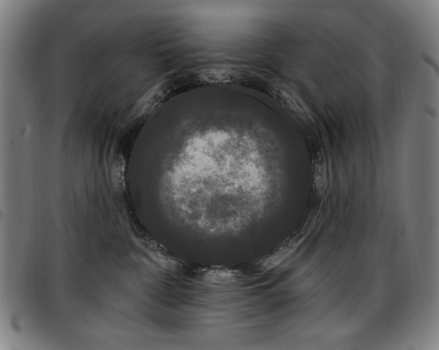 X0000097590332200802291225