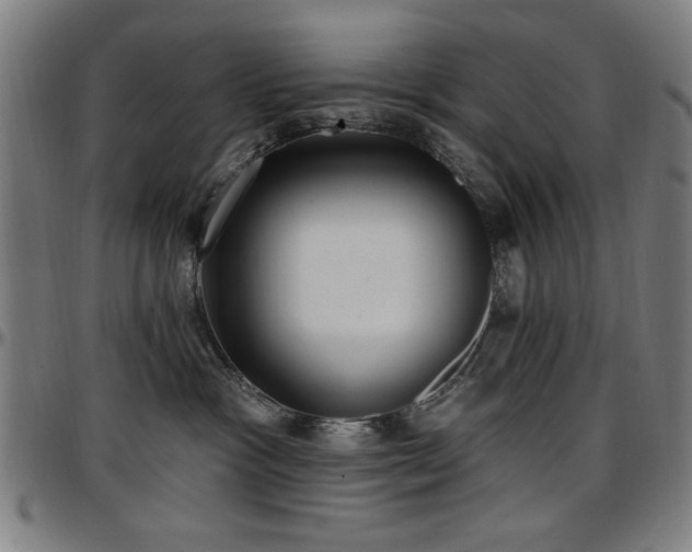X0000097590333200802291225