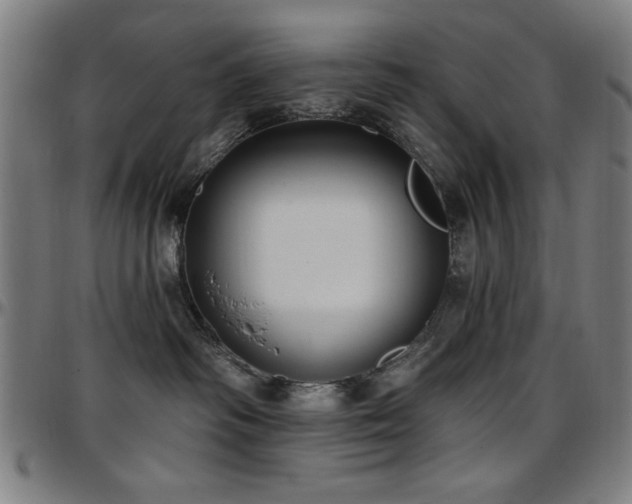 X0000097590334200802291225
