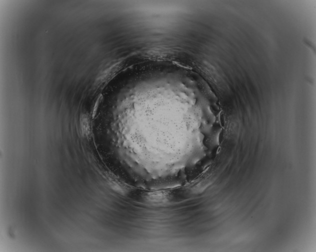 X0000097590335200802291225