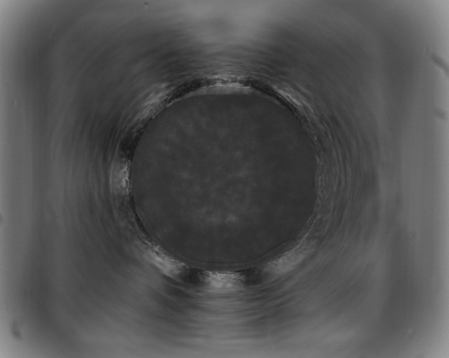 X0000097590336200802291225