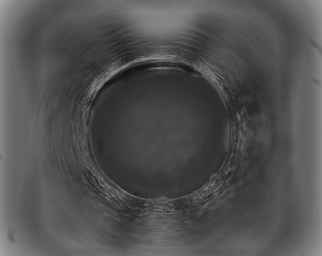 X0000097590337200802291224