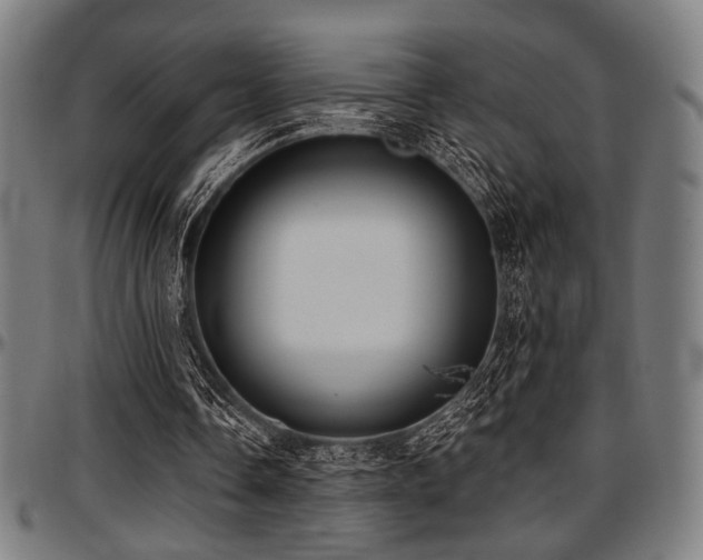 X0000097590338200802291224