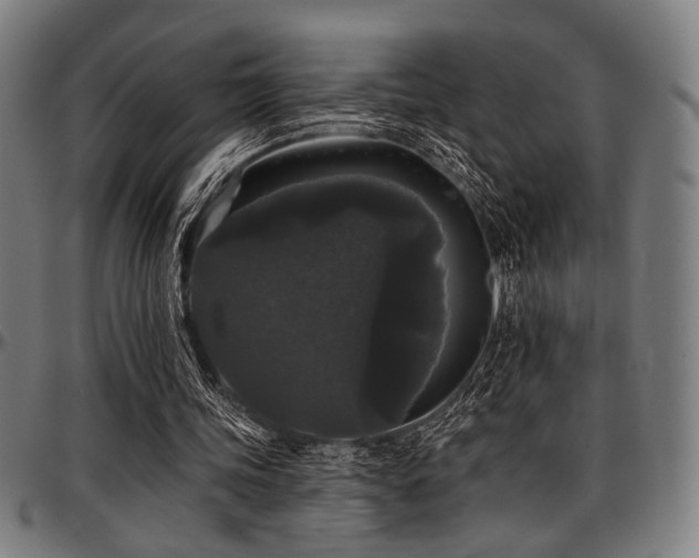 X0000097590339200802291224