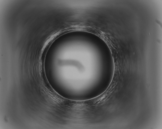 X0000097590342200802291224
