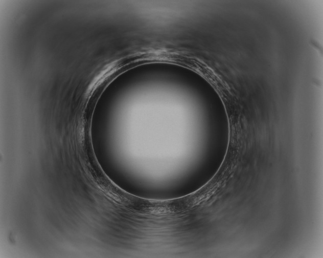 X0000097590344200802291224