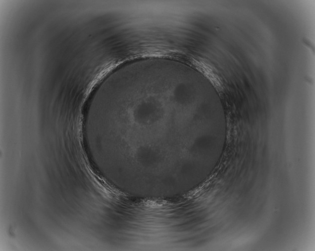 X0000097590346200802291224