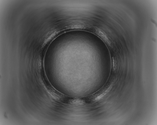 X0000097590348200802291224