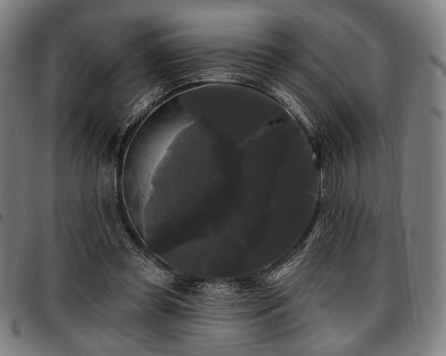 X0000097590349200802291224