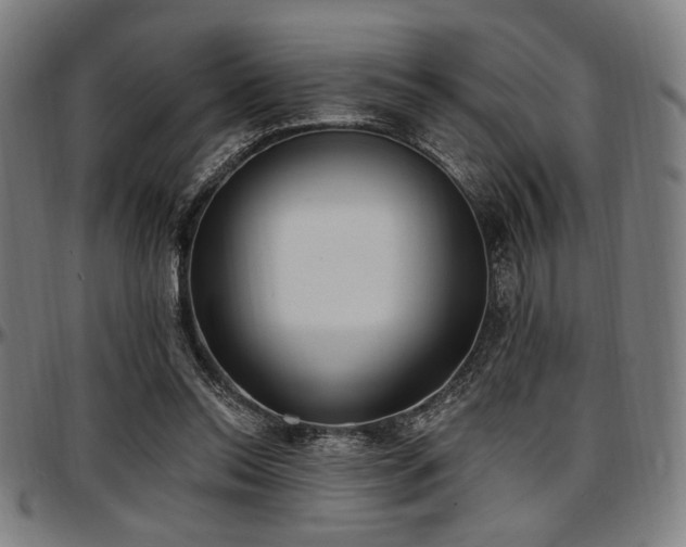 X0000097590350200802291224