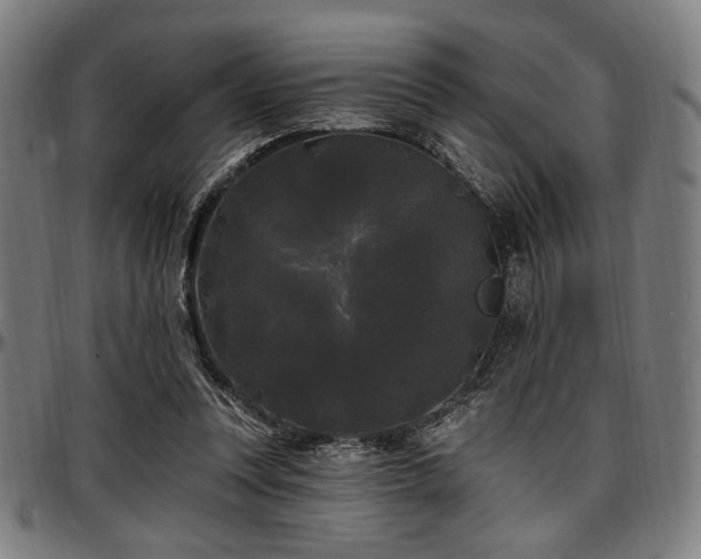 X0000097590351200802291224