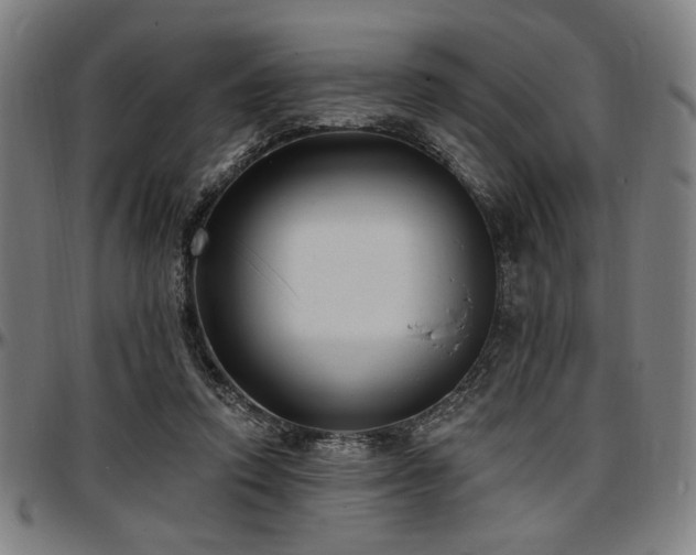 X0000097590354200802291224