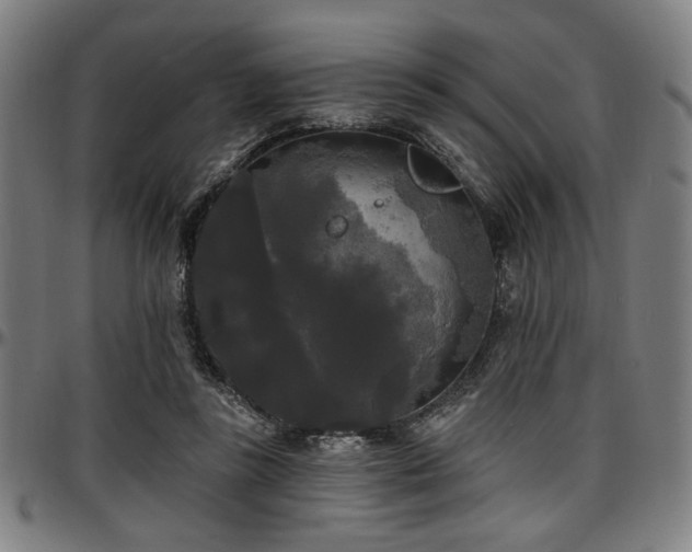 X0000097590355200802291224