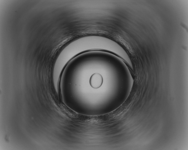 X0000097590356200802291224