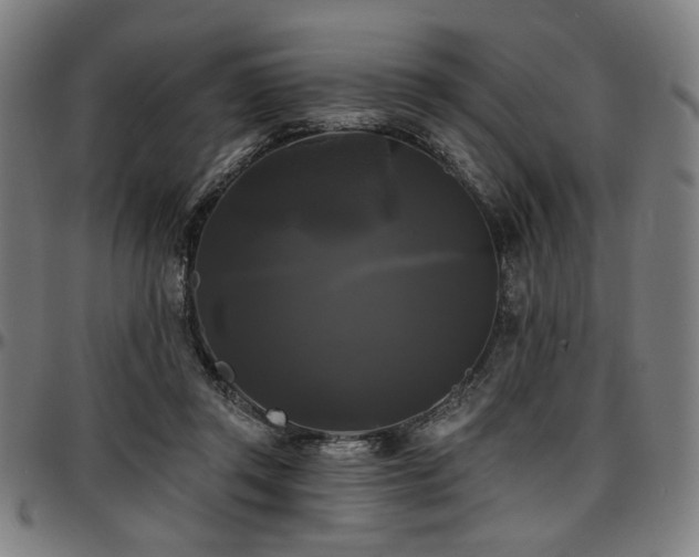 X0000097590357200802291224