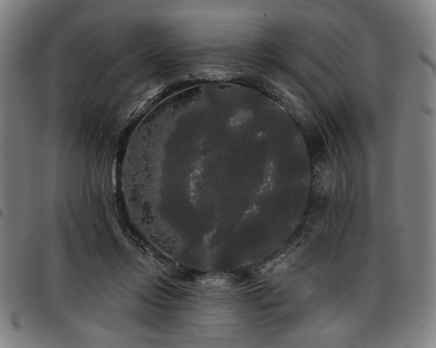 X0000097590358200802291224