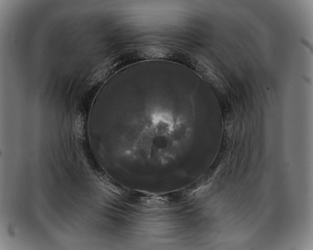 X0000097590359200802291224