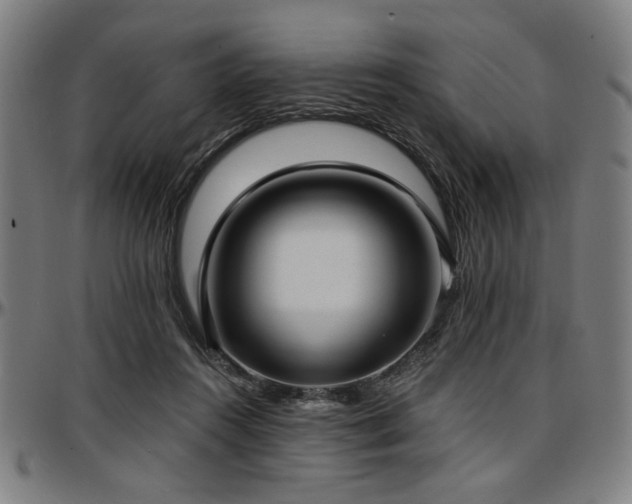 X0000097590360200802291224