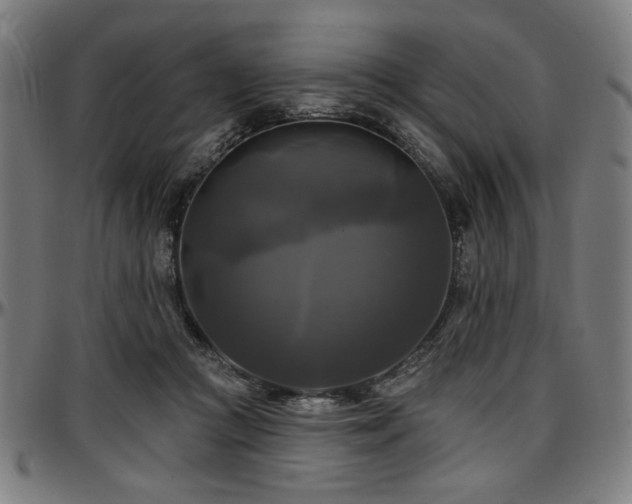 X0000097590361200802291225