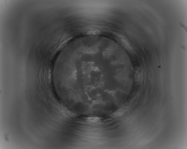 X0000097590363200802291225