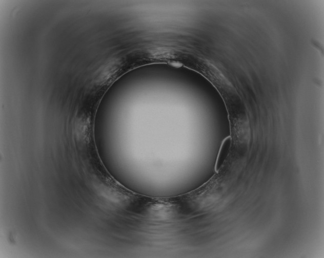 X0000097590364200802291225