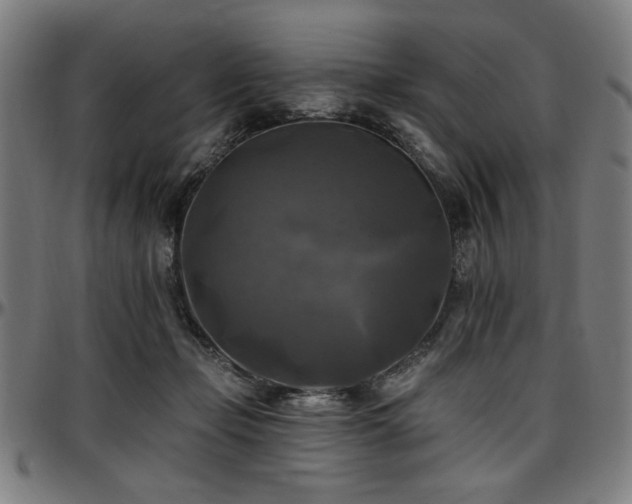 X0000097590365200802291225