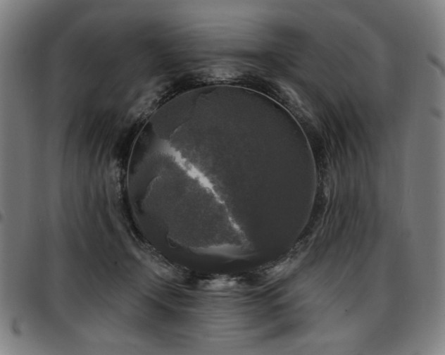 X0000097590366200802291225
