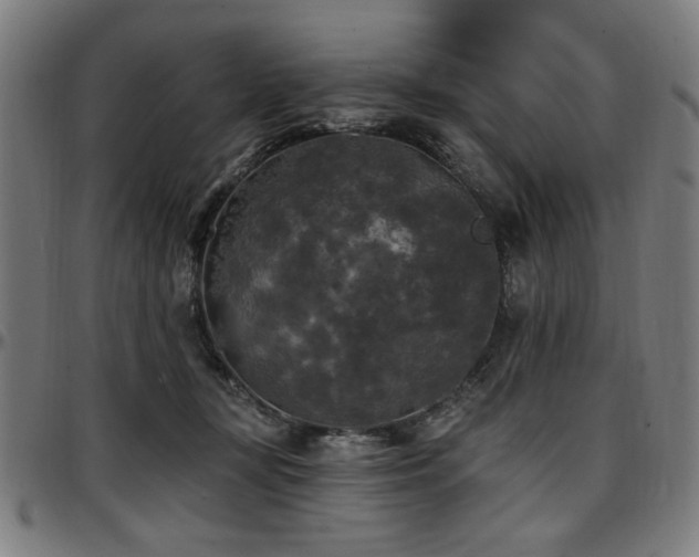 X0000097590367200802291225