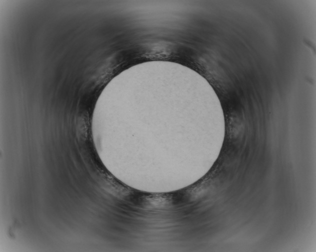 X0000097590370200802291225