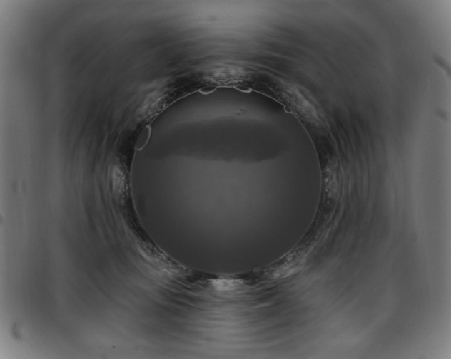 X0000097590371200802291225