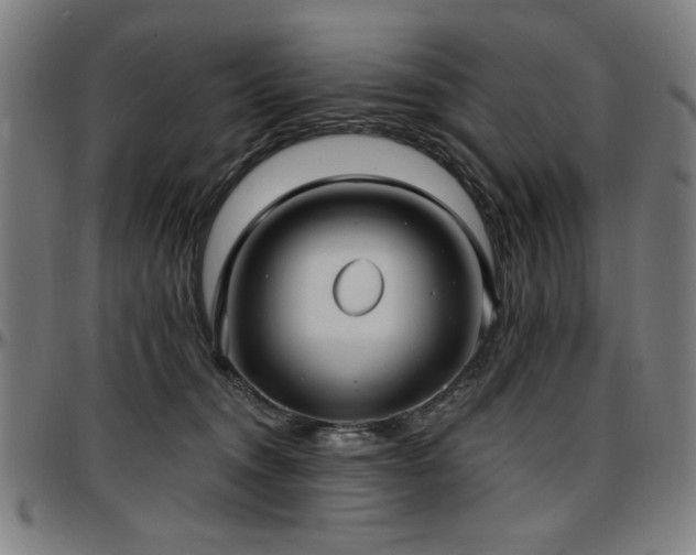 X0000097590372200802291225