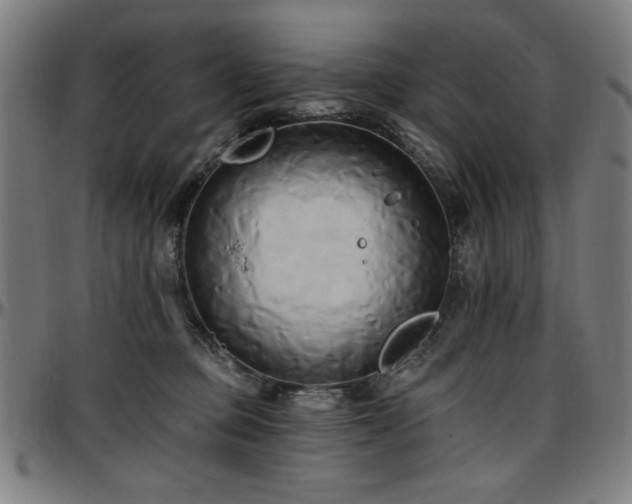 X0000097590373200802291225