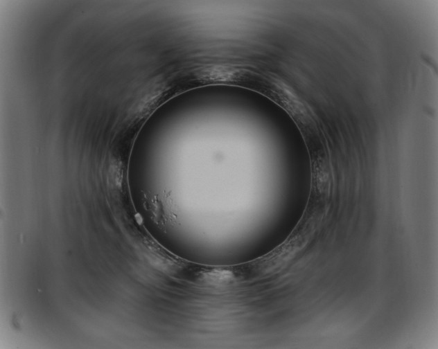 X0000097590374200802291225