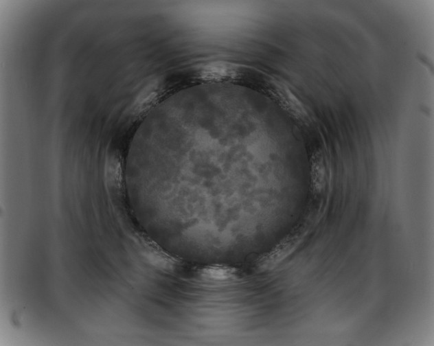X0000097590375200802291225