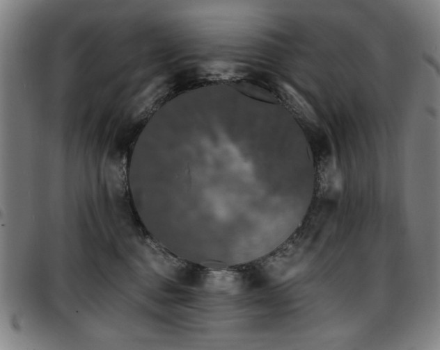 X0000097590376200802291225