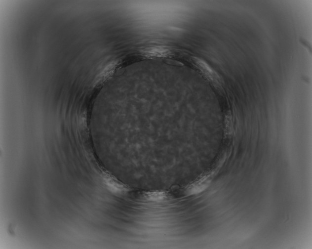 X0000097590377200802291225