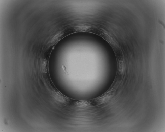 X0000097590378200802291225
