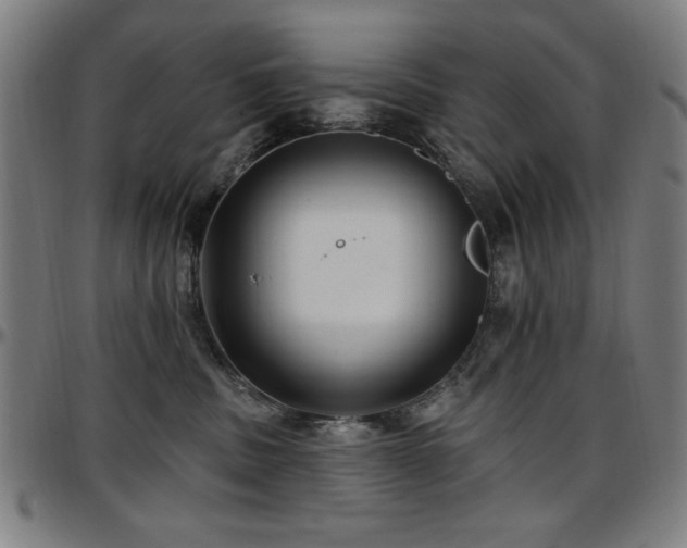 X0000097590379200802291225