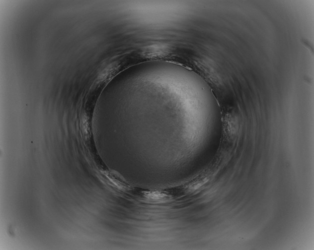 X0000097590380200802291225