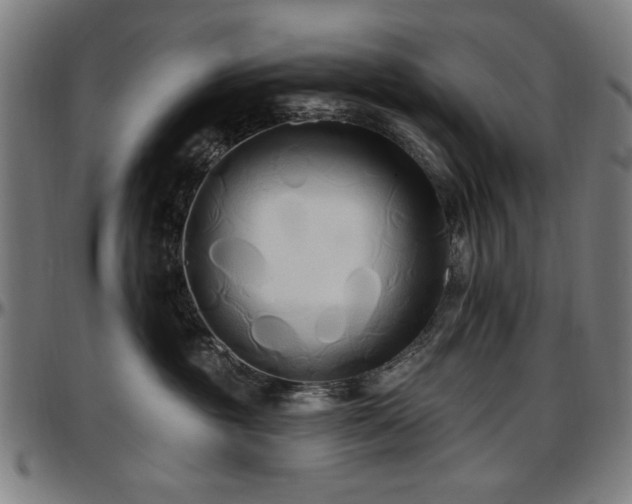 X0000097590381200802291225