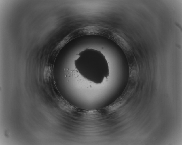 X0000097590382200802291225