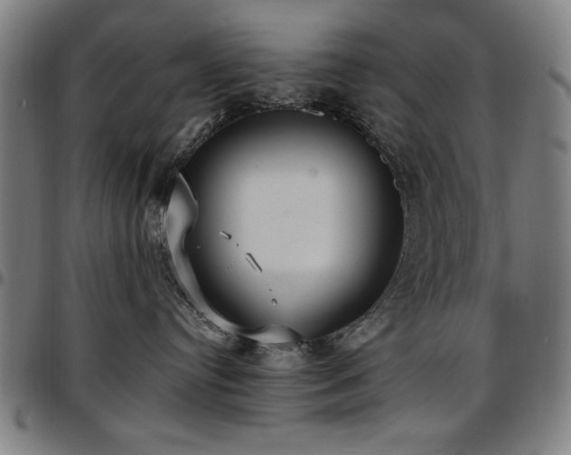 X0000097590384200802291225