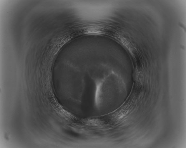 X0000097590385200802291224