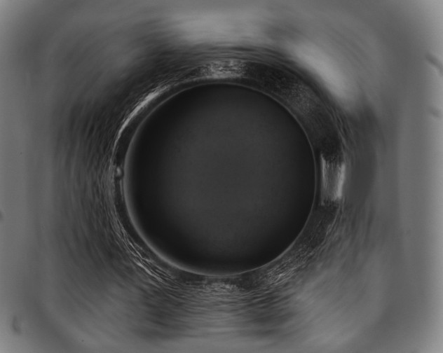X0000097590387200802291224
