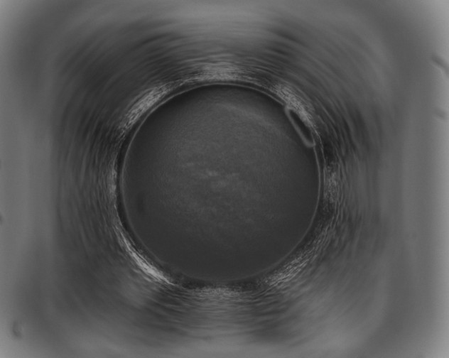 X0000097590389200802291224